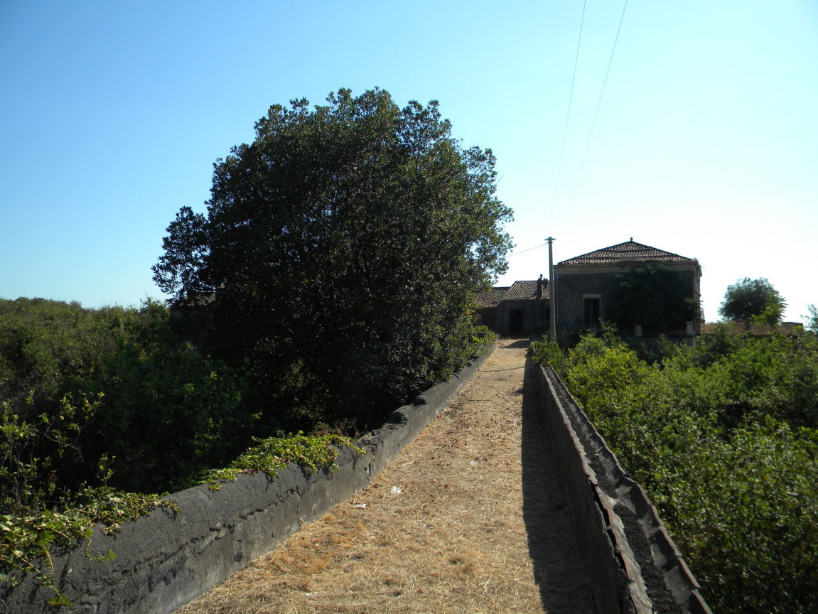 DSCN8182 .JPG